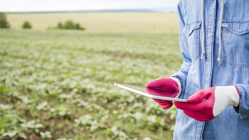 Sector agroalimentario